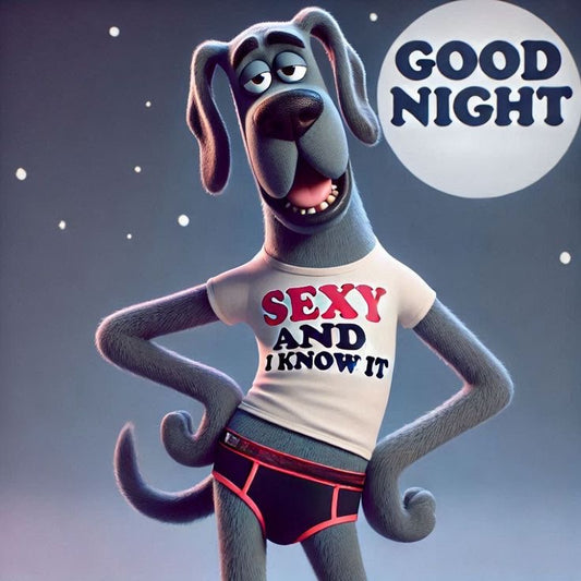 good Night Mo*********R